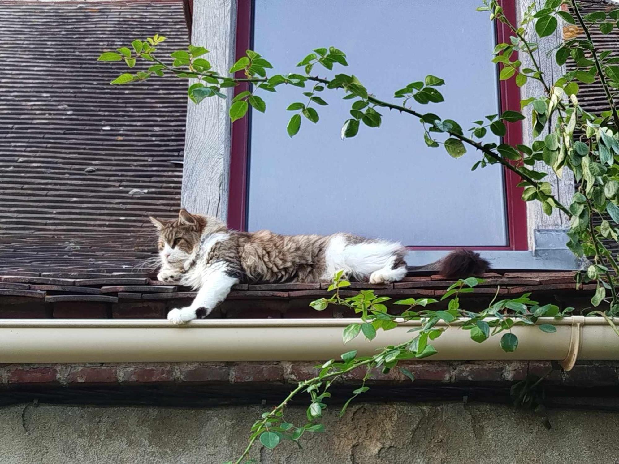 Gite Des Fours Agonges ภายนอก รูปภาพ